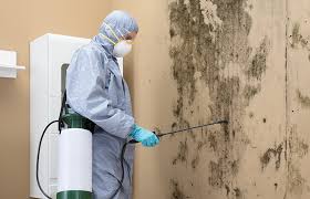 Best Mold Documentation for Insurance Claims  in Barnsdall, OK